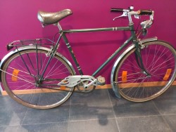 HERENFIETS GROEN